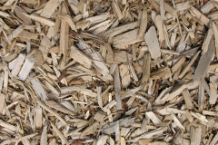 biomass boilers Llanteems