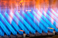 Llanteems gas fired boilers